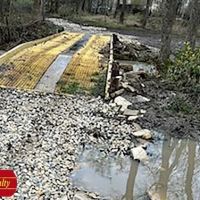 45.49 Acre Wetland Retreat images 5