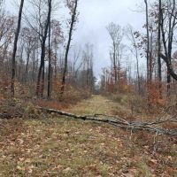 7 acres Hunting Land and Building Lot in Allegany NY State Route 16