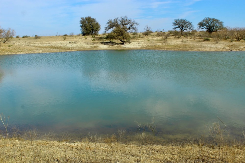 65 - Acres W Home in Brady featured image