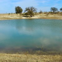 65 - Acres W Home in Brady