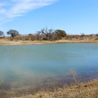 65 - Acres W Home in Brady images 2