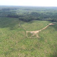 100 - acres in Heard County images 2