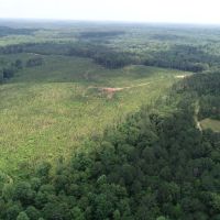 100 - acres in Heard County images 4