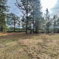 Home with Acreage For Sale in Sandy Hook MS images 5