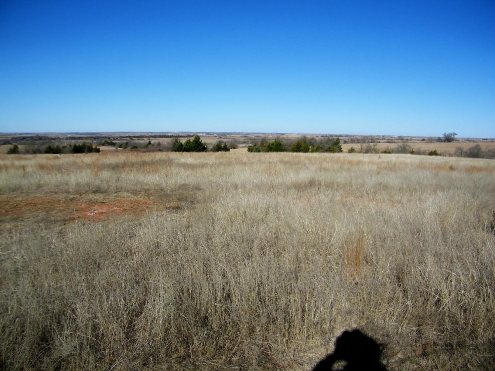Pasture Land along I35 featured image