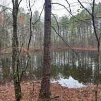 08-049-black-road-60 images 2