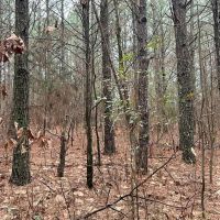 08-049-black-road-60 images 3