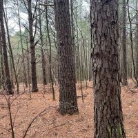 08-049-black-road-60 images 4