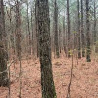 08-049-black-road-60 images 5