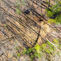 7 - Acres in Graham County NC images 3