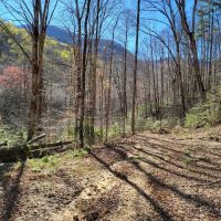 7 - Acres in Graham County NC images 5