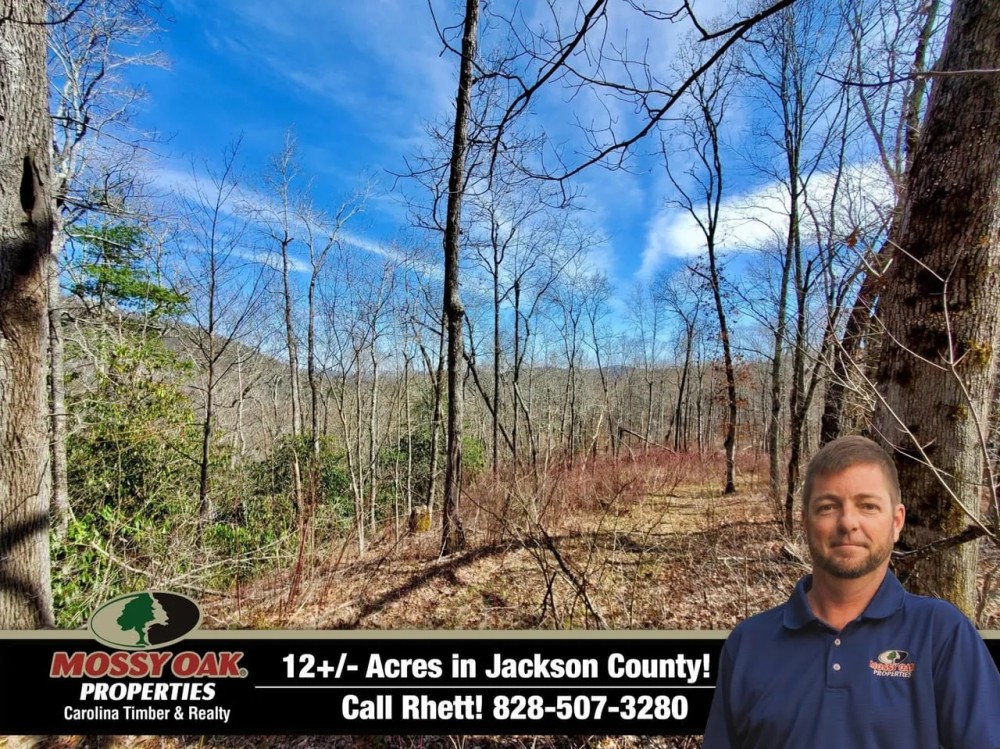 9 - acres Robinson Creek Road featured image
