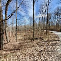 9 - acres Robinson Creek Road images 2