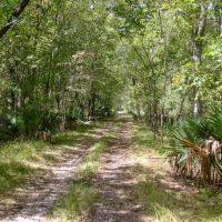 1600 Acres Land for Sale Outside of Baton Rouge LA