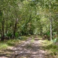1600 Acres Land for Sale Outside of Baton Rouge LA images 5