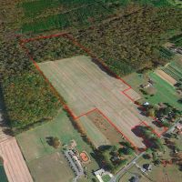 40 acres of Farming Timberland For Sale in Chesapeake VA images 2