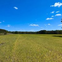 40 acres of Farming Timberland For Sale in Chesapeake VA images 3