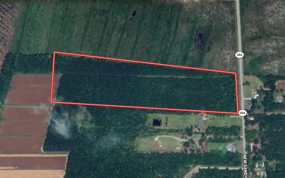 31.79 acres of Recreational Timber Land For Sale in Pamlico County NC featured image