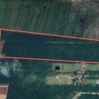 31.79 acres of Recreational Timber Land For Sale in Pamlico County NC