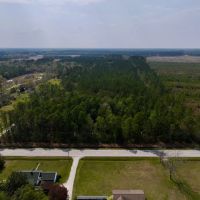 31.79 acres of Recreational Timber Land For Sale in Pamlico County NC images 2