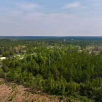 31.79 acres of Recreational Timber Land For Sale in Pamlico County NC images 4