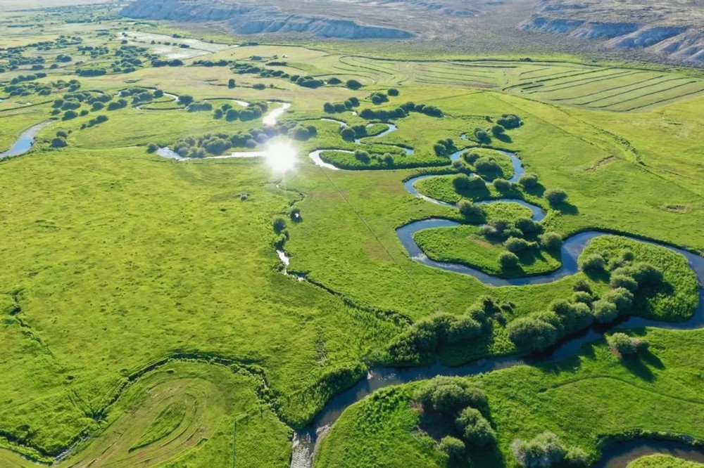 Harrower Ranch featured image