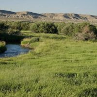 Harrower Ranch images 4