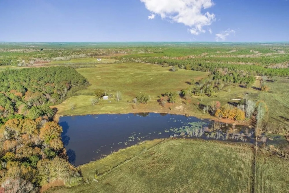 Mississippi Farm and Homestead Land For Sale featured image