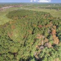 Mississippi Farm and Homestead Land For Sale images 3