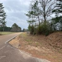 Great 20 Acre Tract in Southwest Mississippi images 2
