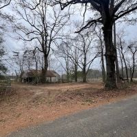 Great 20 Acre Tract in Southwest Mississippi images 4