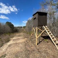 County Road 197 images 4
