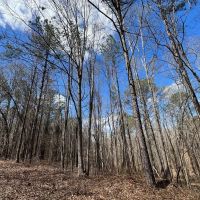 County Road 197 images 5