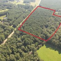 - 22 Acre Timber Hunting Tract in Amite County MS images 5