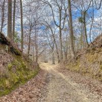 Southside Land Co. Shares and Camps images 4