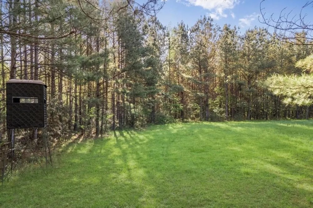 232 Acres Hunting Timberland for Sale St Helena Parish LA featured image