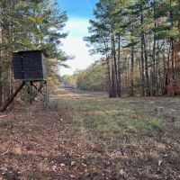 200 - Acres Hunting and TImberland for sale in Clarks LA images 2