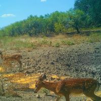 Rustling Oaks Ranch images 4