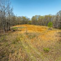 200 - Hunting Acres Wooded Creek Pond Sharp County Arkansas