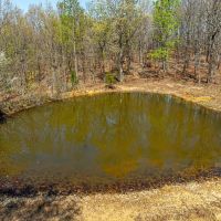 200 - Hunting Acres Wooded Creek Pond Sharp County Arkansas images 3
