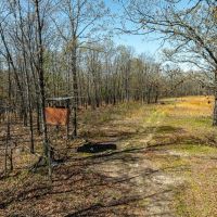 200 - Hunting Acres Wooded Creek Pond Sharp County Arkansas images 4