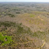 200 - Hunting Acres Wooded Creek Pond Sharp County Arkansas images 5
