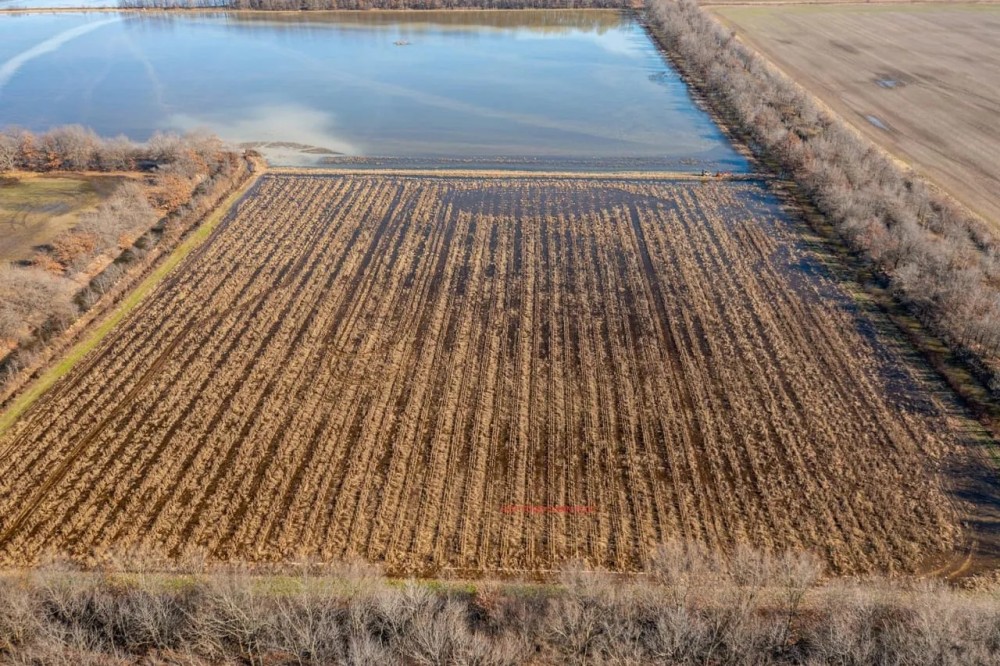 104 - Duck Hunting Property with Row Crop Otwell Craighead County AR featured image