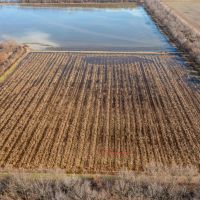 104 - Duck Hunting Property with Row Crop Otwell Craighead County AR