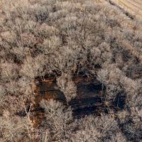 104 - Duck Hunting Property with Row Crop Otwell Craighead County AR images 3