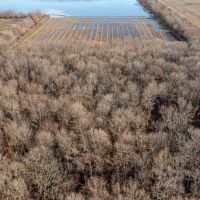 104 - Duck Hunting Property with Row Crop Otwell Craighead County AR images 4