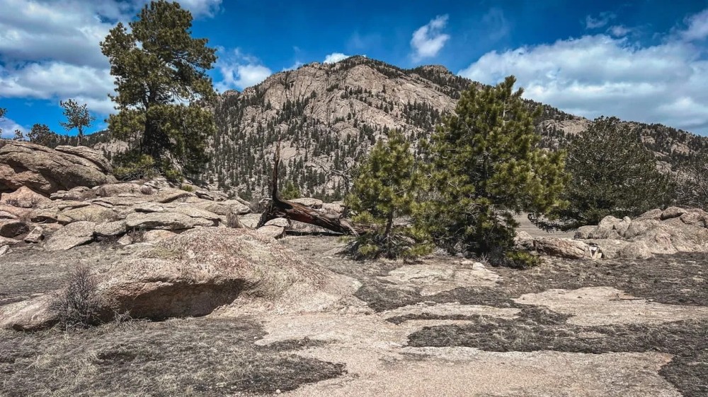 Stoll Mtn 40 - featured image