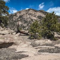 Stoll Mtn 40 -