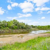 TBD CR 218 Unit 14 Hico Texas 76457 images 4