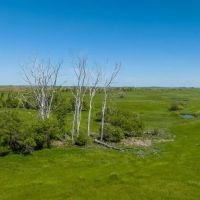 Dodge ND 160 acres